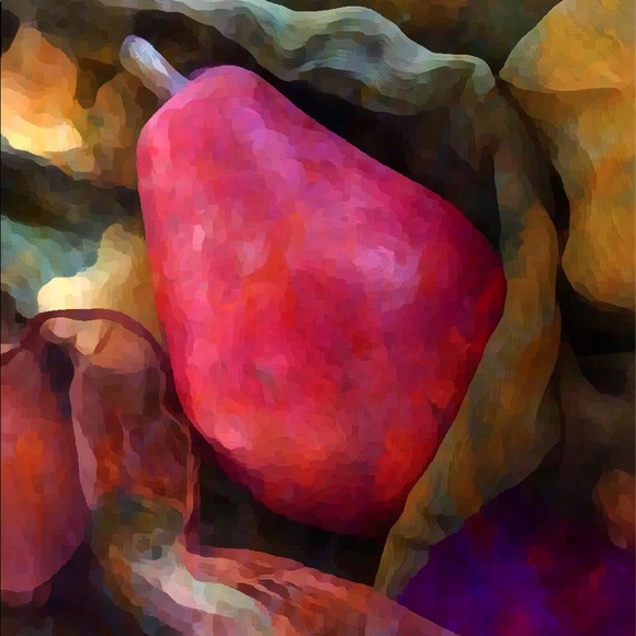 Meet your Posher, Susan - Picture 3 of 8